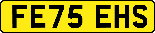 FE75EHS