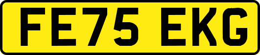 FE75EKG