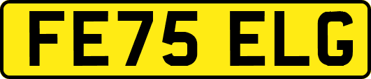FE75ELG