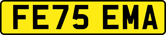 FE75EMA