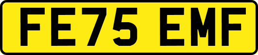 FE75EMF
