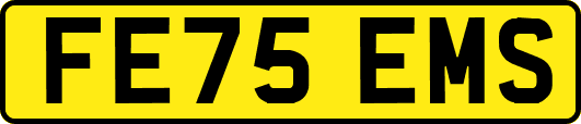 FE75EMS