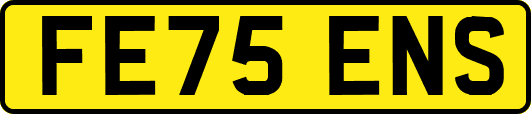 FE75ENS