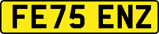 FE75ENZ