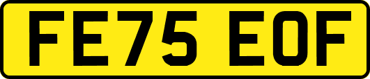 FE75EOF