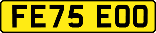FE75EOO