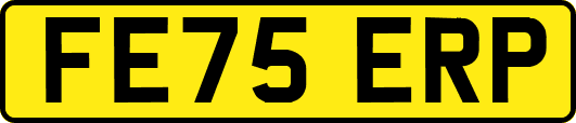 FE75ERP
