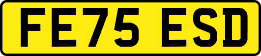 FE75ESD