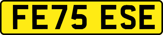 FE75ESE