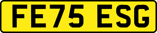 FE75ESG