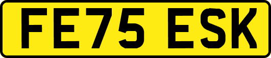 FE75ESK