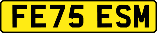 FE75ESM