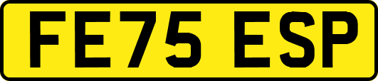 FE75ESP