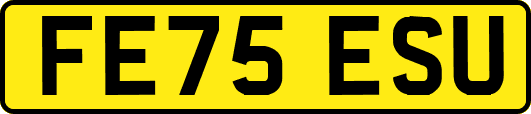 FE75ESU