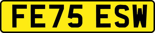 FE75ESW