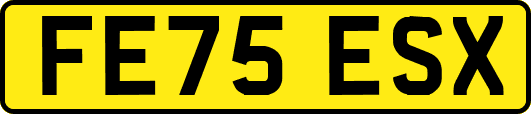 FE75ESX