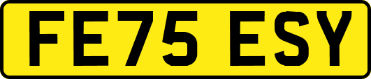 FE75ESY