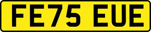 FE75EUE