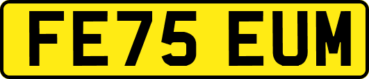 FE75EUM