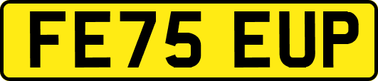 FE75EUP