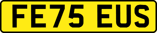 FE75EUS