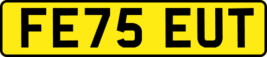 FE75EUT