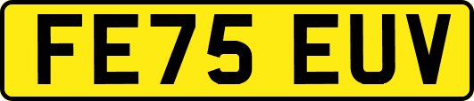 FE75EUV