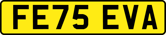 FE75EVA