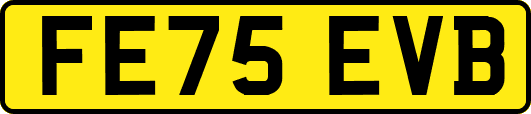 FE75EVB