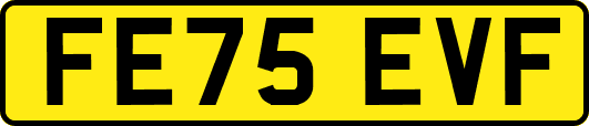 FE75EVF