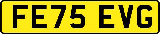 FE75EVG