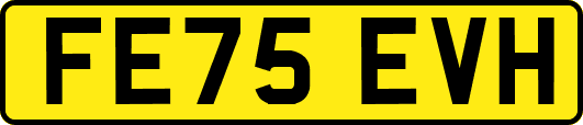 FE75EVH