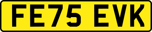 FE75EVK