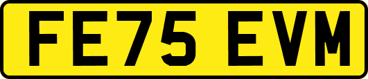 FE75EVM