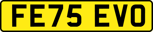 FE75EVO