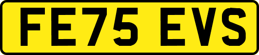 FE75EVS
