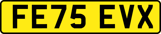 FE75EVX