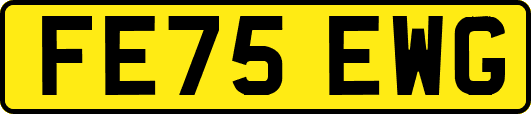FE75EWG