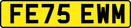 FE75EWM
