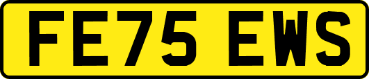 FE75EWS