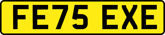 FE75EXE