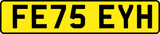 FE75EYH