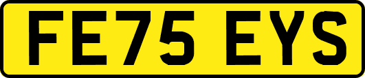 FE75EYS