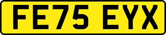 FE75EYX