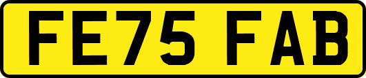 FE75FAB