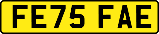 FE75FAE