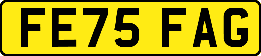 FE75FAG