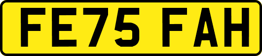 FE75FAH