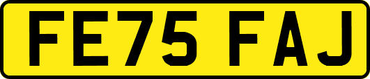 FE75FAJ