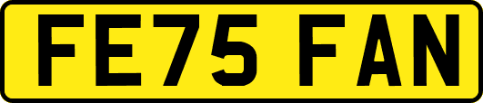 FE75FAN